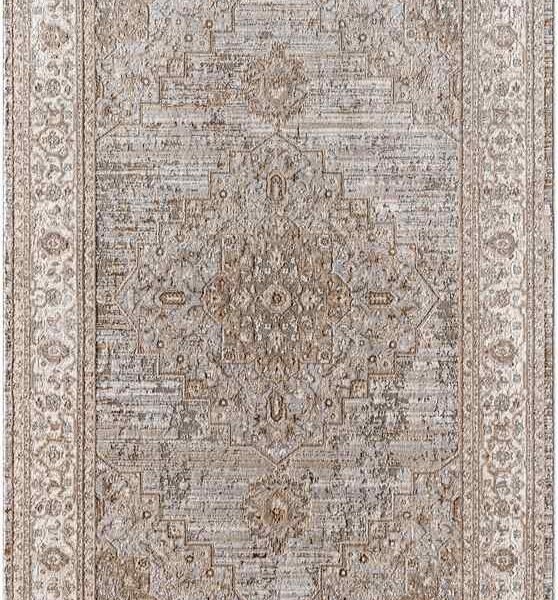 Afnan Traditional Dark Brown/Medium Gray Area Rug