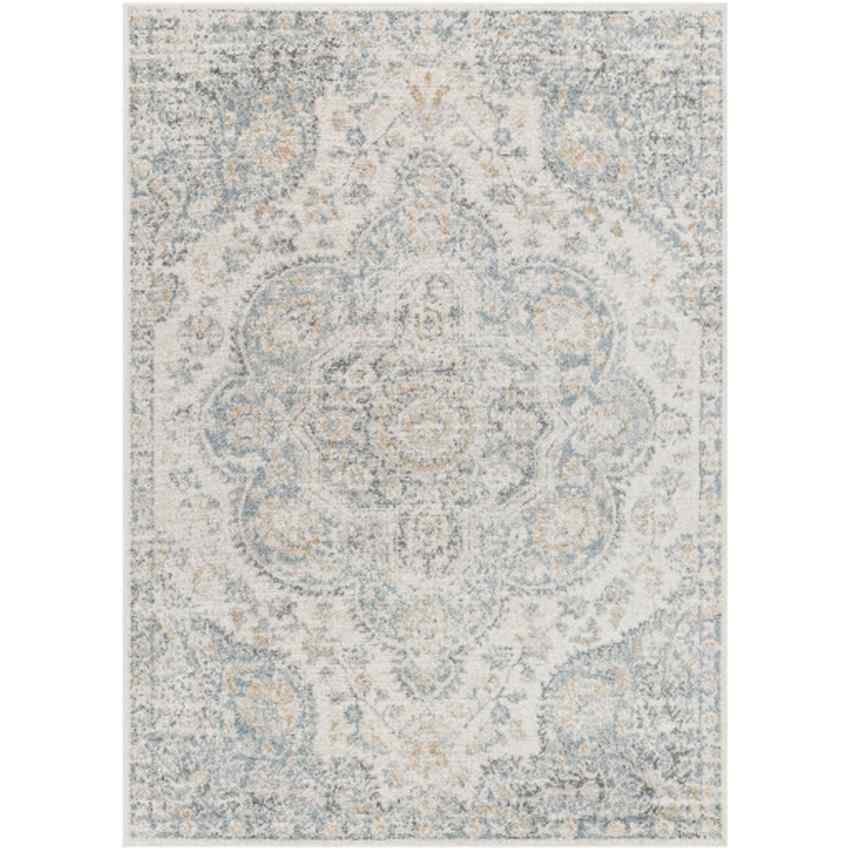 AAAB9651-5376-1 Lola Traditional Light Gray Area Rug - Image 1