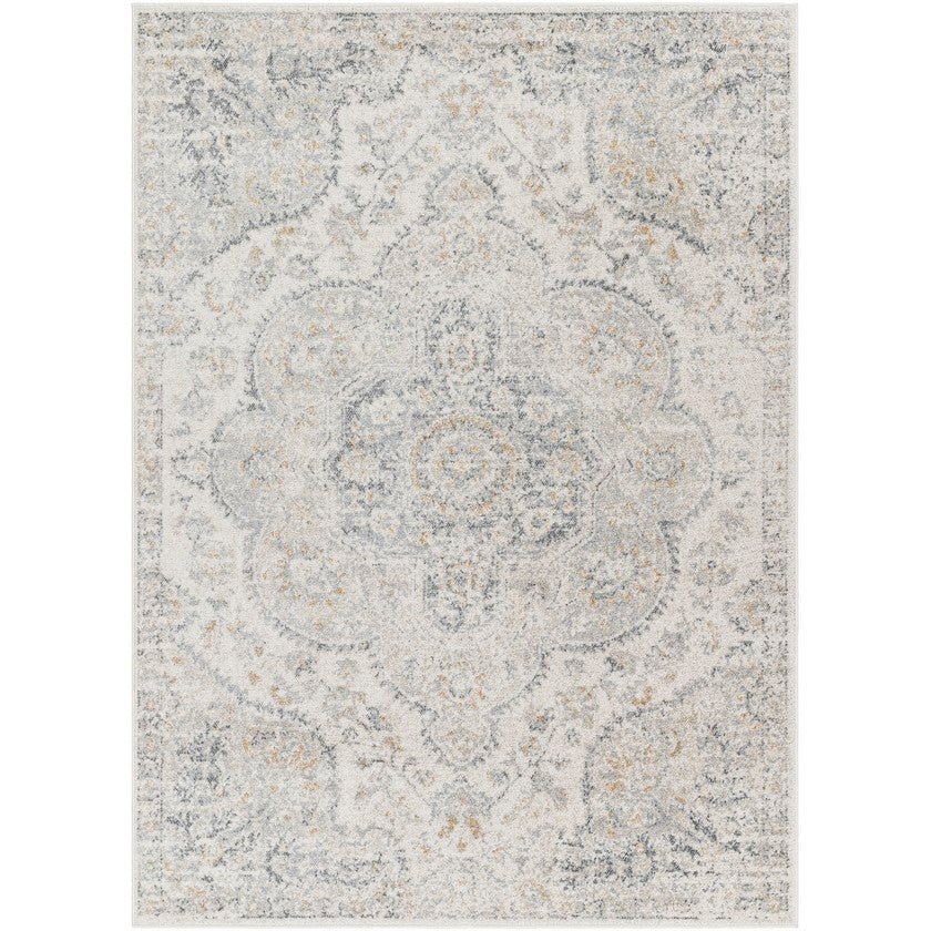 AAAB9652-5376-1 Lola Traditional Medium Gray Area Rug - Image 1