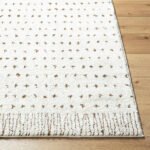 Haily Modern Ivory/Brown Area Rug - Image 4