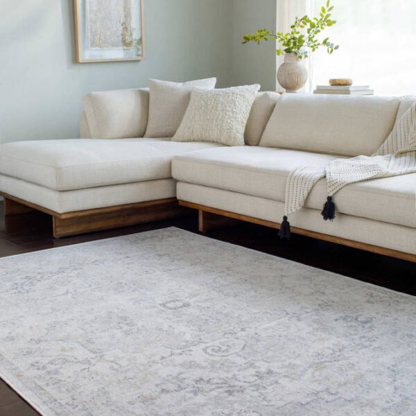 Olivia Traditional Medium Gray Area Rug