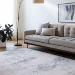 Parks Modern Charcoal/Amber Area Rug