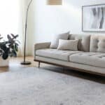 Emilly Traditional Medium Gray Area Rug