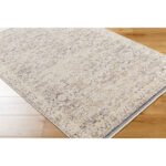 Beth Traditional Light Brown/Cream Area Rug - Image 3
