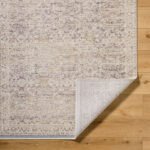 Beth Traditional Light Brown/Cream Area Rug - Image 4