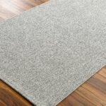 Birdie Solid and Border Silver Area Rug - Becki Owens x Livabliss - Image 5
