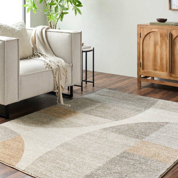 Ananda Modern Light Brown Area Rug