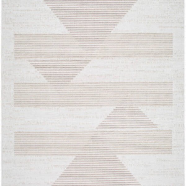 Plasmolen Modern Gray Area Rug