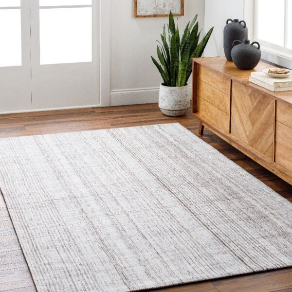 Sammy Modern Light Silver Area Rug - Becki Owens x Livabliss