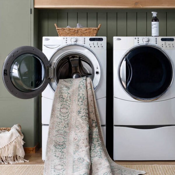Special Traditional Dark Green Washable Area Rug