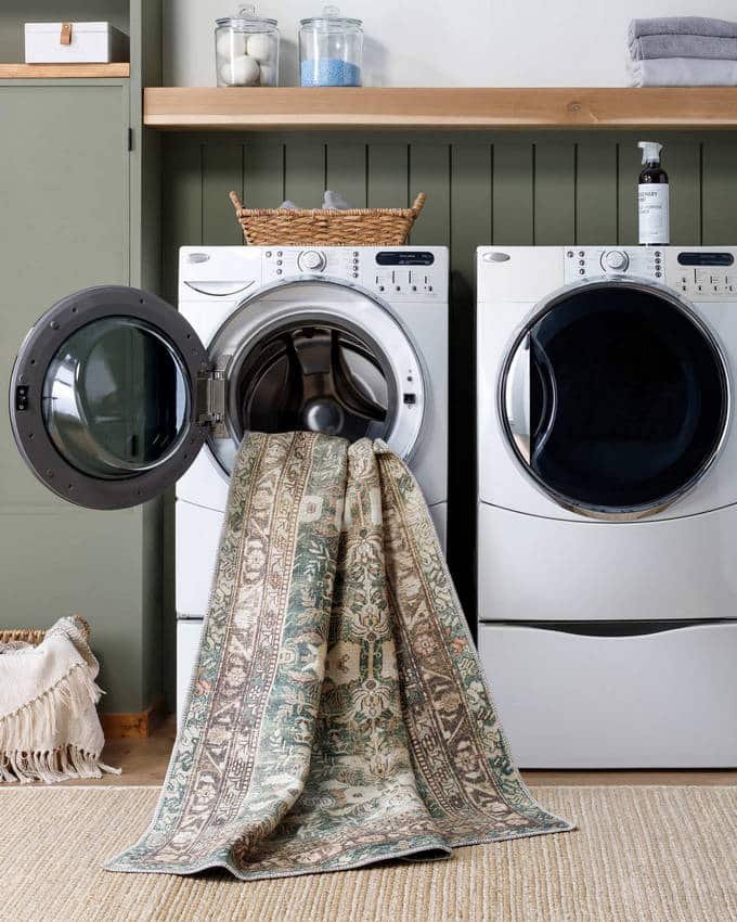 AAAC1541-styleshot_201_a0f1e4ac-ce45-4c1d-b2ab-1b17ac210c05-1 Meddo Traditional Dark Green Washable Area Rug - Image 1