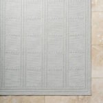 Pinar Global Light Gray Area Rug - Image 6