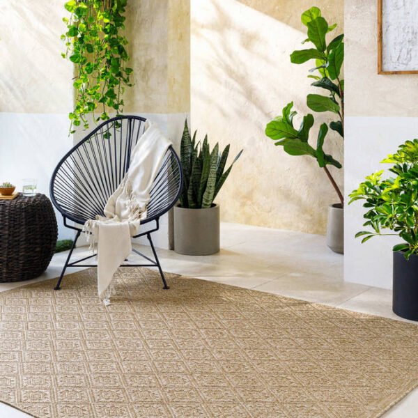 Selenia Cottage Light Brown Area Rug