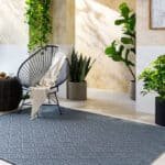 Selenia Cottage Charcoal Area Rug