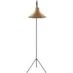 Rula Rustic Black Floor Lamp - Image 3