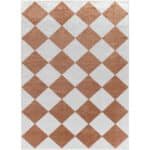 Senior Modern Rust Washable Area Rug