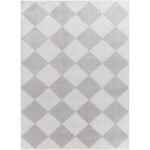 Senior Modern Light Gray Washable Area Rug