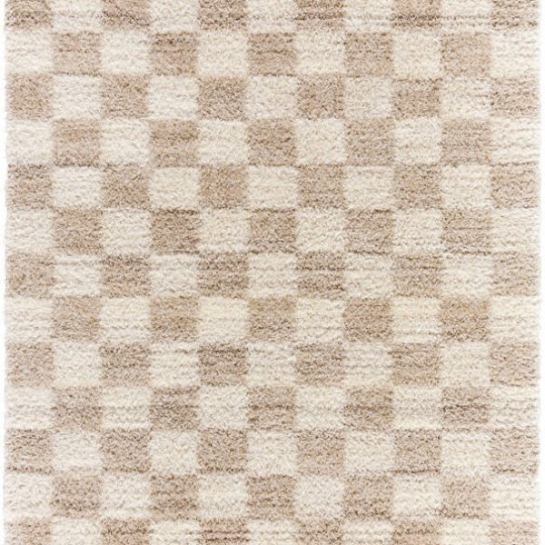 Yaakov Modern Dark Brown Area Rug