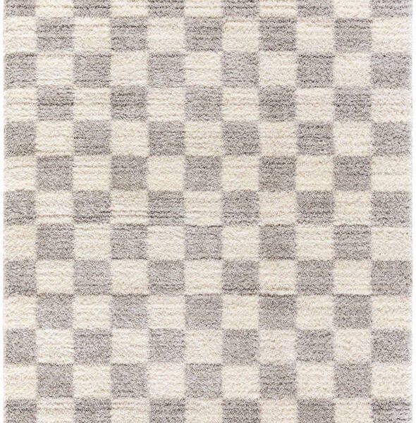 Yaakov Modern Light Gray Area Rug