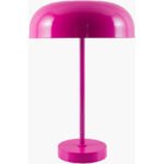 Hoyleton Modern Pink Table Lamp