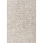 Reshonda Traditional Ash Area Rug
