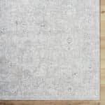 Reshonda Traditional Ash Area Rug - Image 5