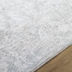 Reshonda Traditional Ash Area Rug - Image 6