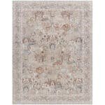 Qasim Traditional Light Gray Area Rug