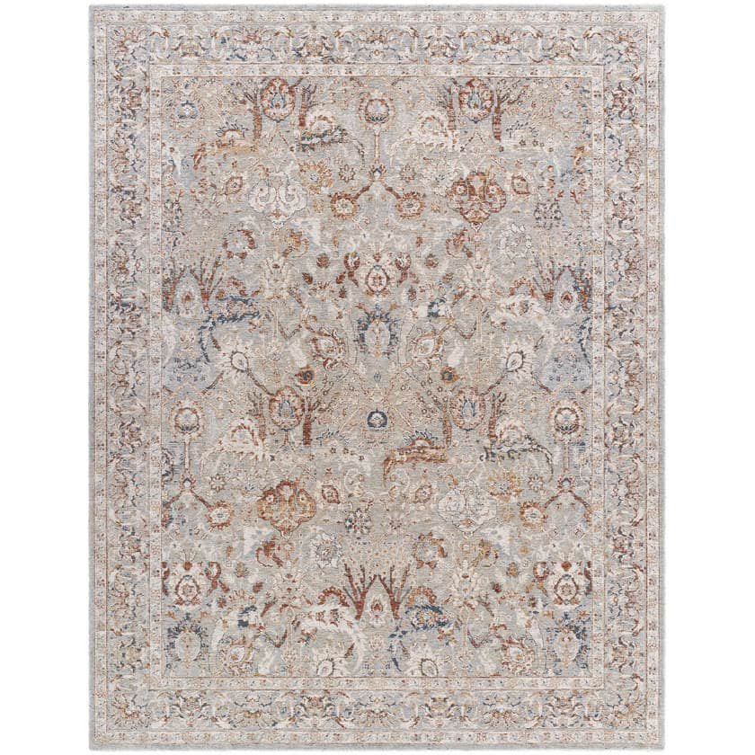AAAC3118-710102-1 Qasim Traditional Light Gray Area Rug - Image 1