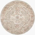 Ramia Traditional Cream/Slate Area Rug - Image 2