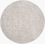 Janeth Traditional Sterling Grey Area Rug - Image 3
