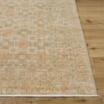 Benjamine Traditional Light Beige/Tan Area Rug - Image 4