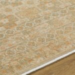 Benjamine Traditional Light Beige/Tan Area Rug - Image 6