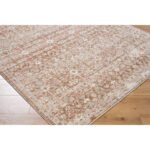Sandro Traditional Tan/Burnt Orange Area Rug - Image 6