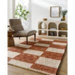 Lima Modern Clay Area Rug