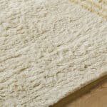 Fotis Global Desert Tan Area Rug - Image 7