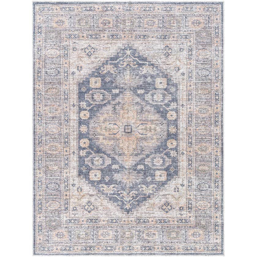 AAAC3427-537_8f115b2c-ddd3-4401-81d5-16181d19ed0a-1 Lorelai Traditional Black/Light Beige Washable Area Rug - Vivir x Livabliss - Image 1