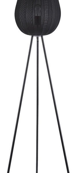 Angele Modern Black Floor Lamp