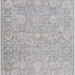 Joya Traditional Denim Area Rug