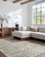 Collins Avenue Traditional Dusty Sage Area Rug - Galey Alix Livabliss - Image 2