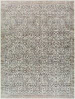 Collins Avenue Traditional Rust/Brown Area Rug - Galey Alix Livabliss - Image 4