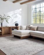 Collins Avenue Traditional Ivory/Brown Area Rug - Galey Alix Livabliss - Image 3