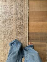 Maria Elena Traditional Ivory/Medium Brown Area Rug - Galey Alix Livabliss - Image 9