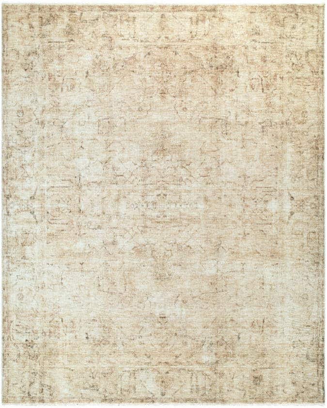 AAAC3592-71010-1 Fetscher Traditional Light Beige/Light Brown Area Rug - Galey Alix Livabliss - Image 1