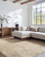 Fetscher Traditional Light Beige/Light Brown Area Rug - Galey Alix Livabliss - Image 8