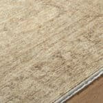 Fetscher Traditional Tan Area Rug - Galey Alix Livabliss - Image 7