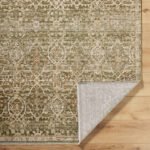 Myrtle Avenue Traditional Olive/Medium Brown Area Rug - Galey Alix Livabliss - Image 7