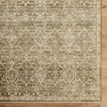 Myrtle Avenue Traditional Olive/Medium Brown Area Rug - Galey Alix Livabliss - Image 6