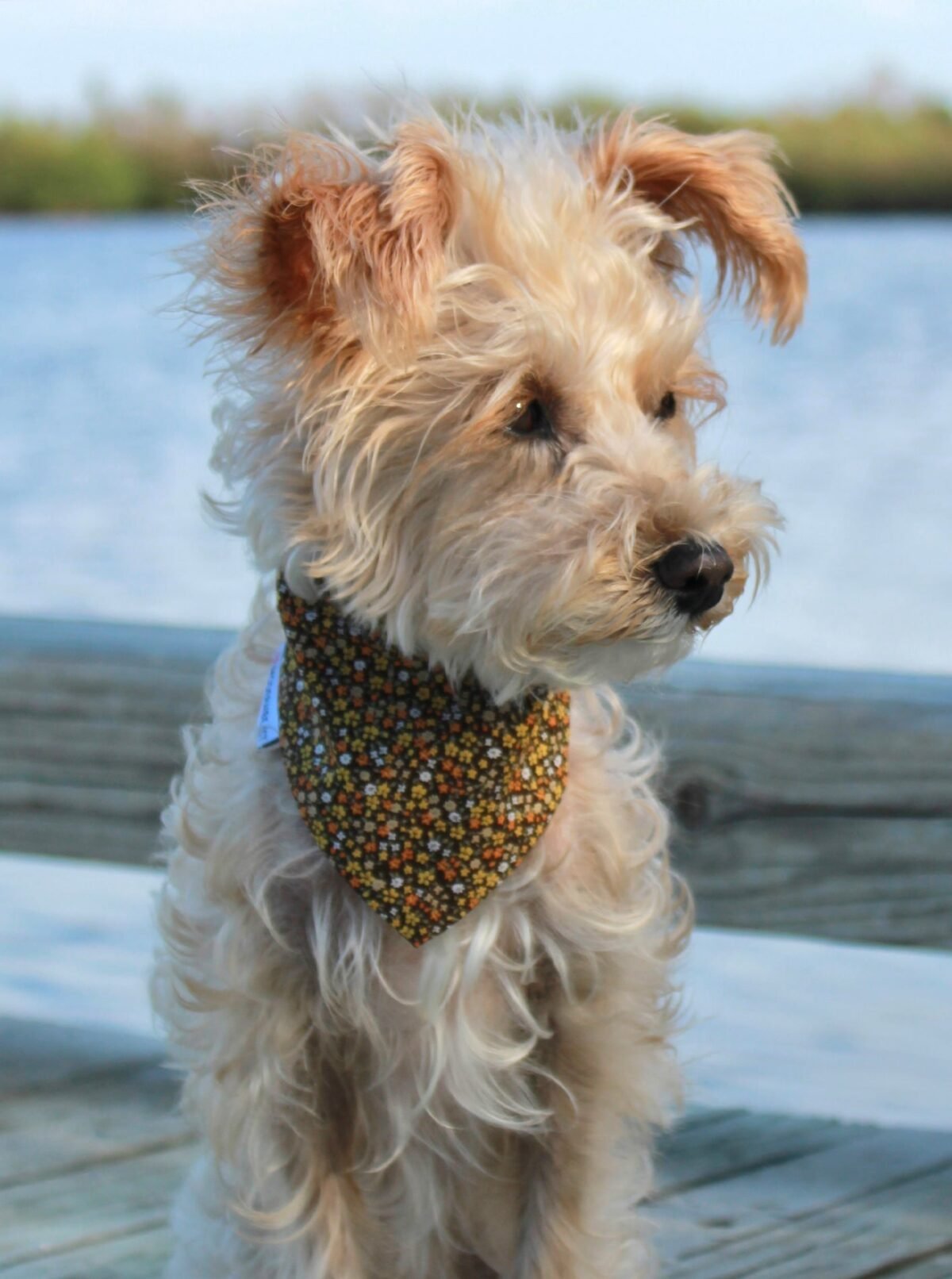 FLORAL BANDANA - Image 21