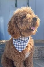 GINGHAM BANDANA - Image 8